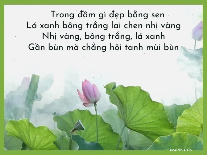 Phẩm giá con người vượt lên trên hoàn cảnh