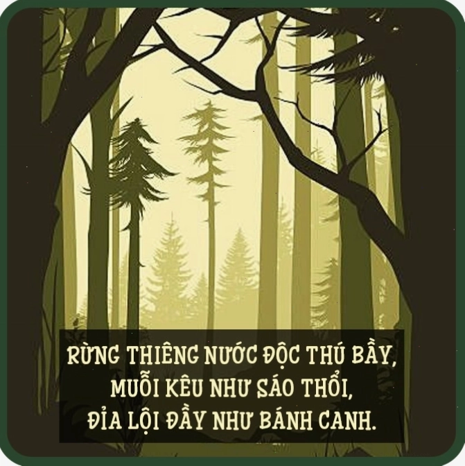 Phong cảnh quê hương tươi đẹp với cánh đồng lúa chín vàng