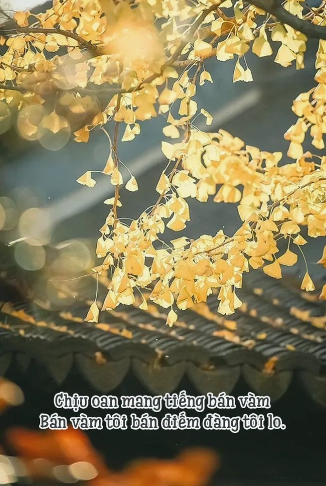 Ứng dụng bài học sự thật trong cuộc sống