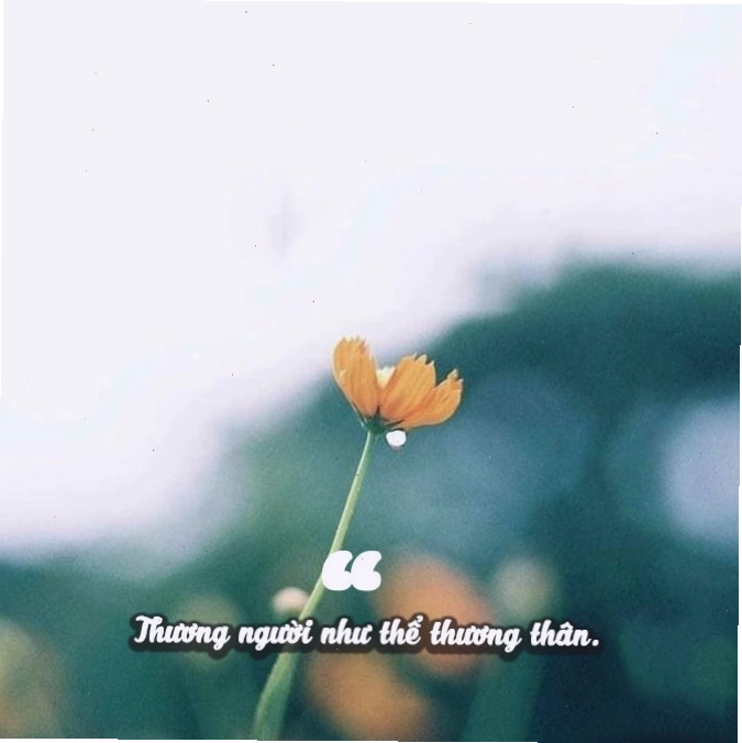 Ứng dụng bài học tục ngữ vào cuộc sống