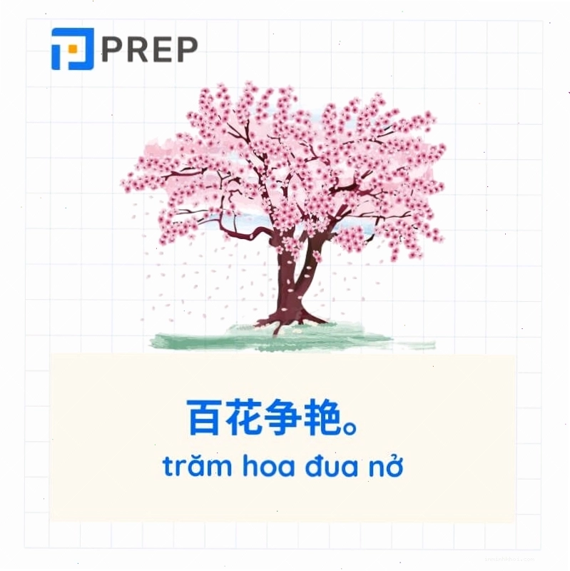 Ví dụ thành ngữ tiếng Trung về phong cảnh