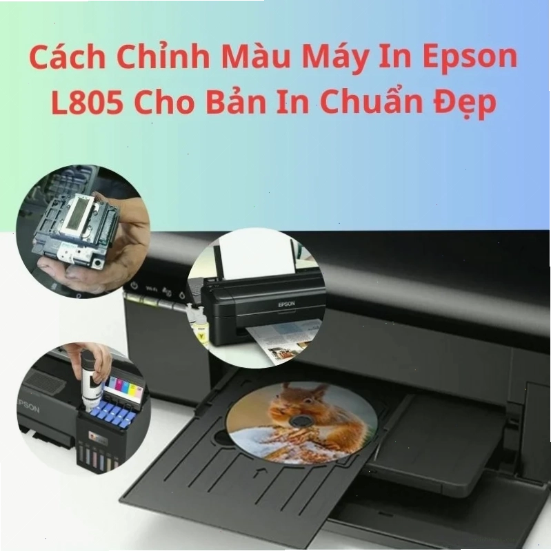 Cài đặt chế độ in cơ bản cho máy in Epson