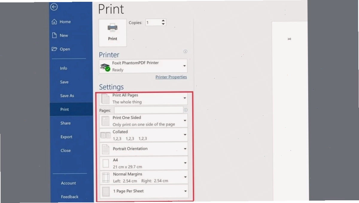 Giao diện hộp thoại Print trong Word 2010