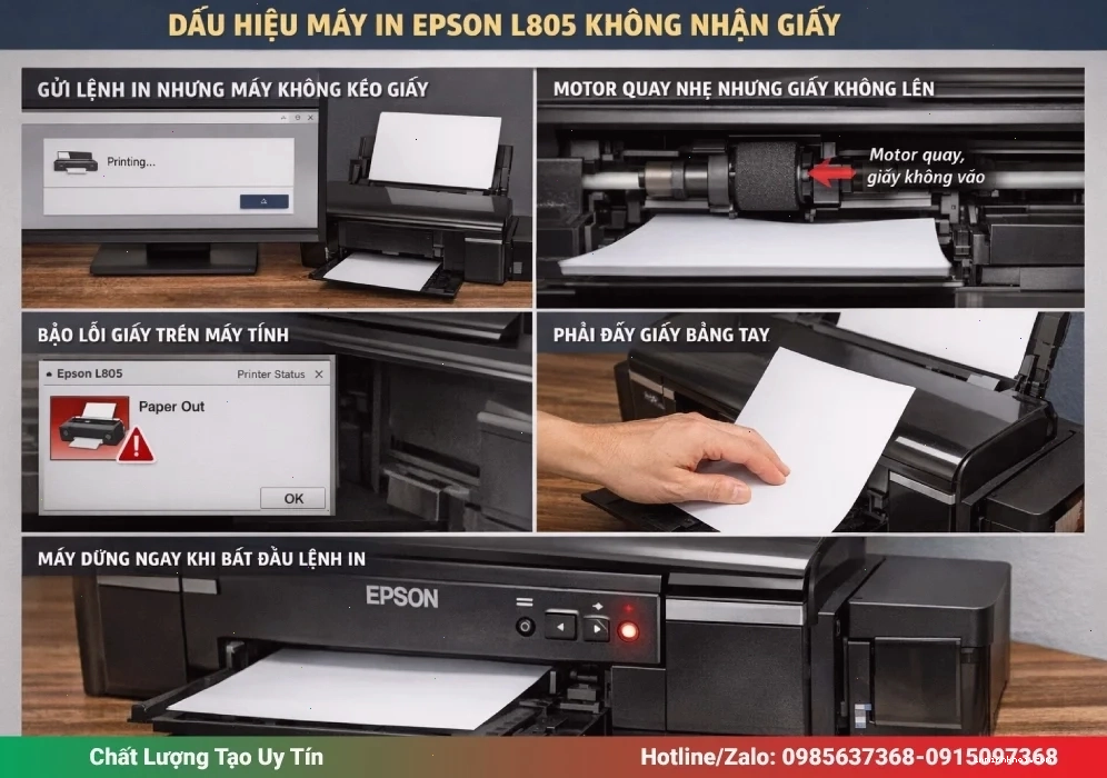 Kỹ thuật viên kiểm tra cụm kéo giấy của máy in Epson L805