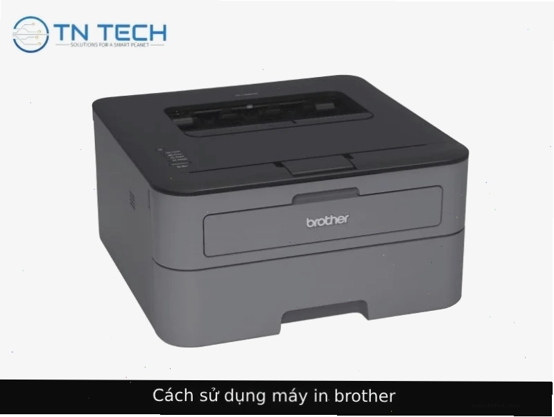 Nhiều loại băng nhãn Brother khác nhau