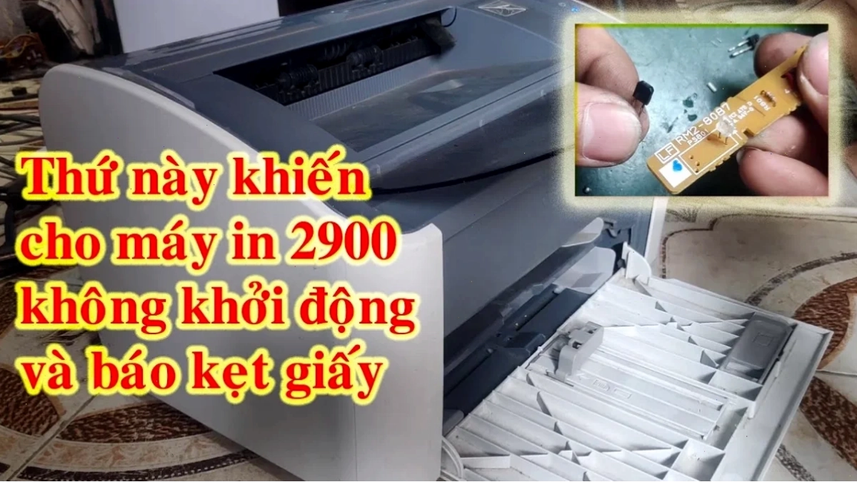 Sử dụng giấy in chất lượng cao cho máy in Canon 2900