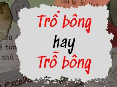 Trổ bông hay trỗ bông đúng chính tả gây hoang mang lớn