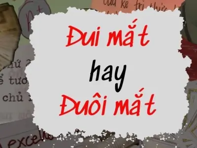 Đui mắt hay đuôi mắt đúng chính tả khiến ai cũng nhầm