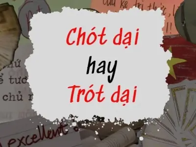 Chót dại hay trót dại đúng chính tả khiến ai cũng lúng túng