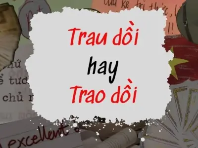 Trao dồi, trau dồi hay trao giồi từ nào đúng chính tả?
