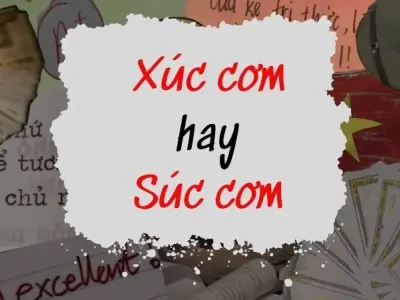 Xúc cơm hay súc cơm đúng chính tả? Bí ẩn ngôn ngữ Việt
