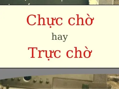 Phân biệt chực chờ hay trực đúng chính tả dễ nhớ nhất