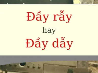 Đầy rẫy hay đầy dẫy đúng chính tả? Cảnh báo sai lầm dễ mắc