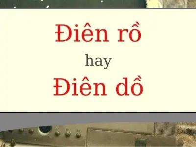 Điên rồ hay ra điền dồ đúng chính tả bạn đã biết chưa