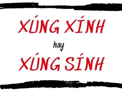 Xúng xính hay súng sính đúng chính tả khiến bạn bối rối