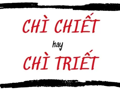 Chì chiết hay trì triết đúng chính tả? Giải đáp rõ ràng