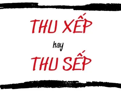 Thu xếp hay thu sếp đúng chính tả? Đừng viết sai nữa