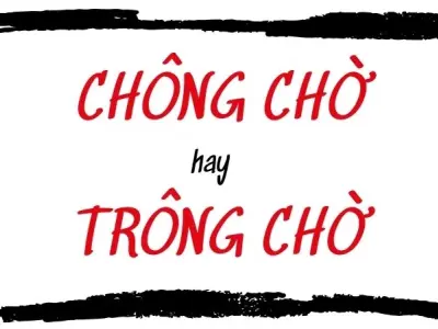 Trông chờ hay chông chờ đúng chính tả làm rối loạn câu văn