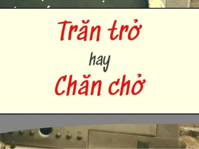 Trăn trở hay chăn chở đúng chính tả bạn đã biết chưa