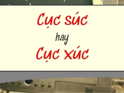 Cục súc hay cục xúc đúng chính tả gây tranh cãi lớn