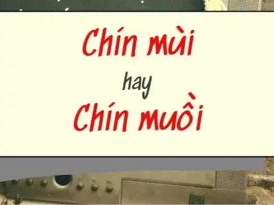 Chín mùi hay chín muồi đúng chính tả bạn nên biết