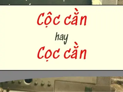 Cọc cằn hay cộc cằn đúng chính tả từ nào là chuẩn