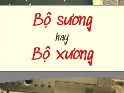 Giải nghĩa bộ sương hay bộ xương đúng chính tả tiếng Việt