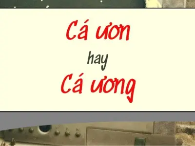 Cá ươn hay cá ương mới đúng chính tả theo từ điển