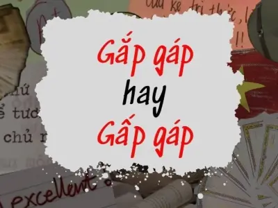 Gắp gáp hay gấp gáp đúng chính tả? Viết sai là thảm họa
