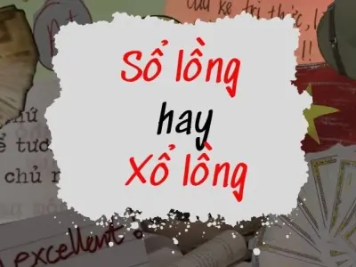 Sổ lồng hay xổ lồng đúng chính tả và cách phân biệt