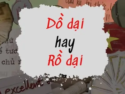 Rồ dại hay dồ dại đúng chính tả và cách phân biệt từ