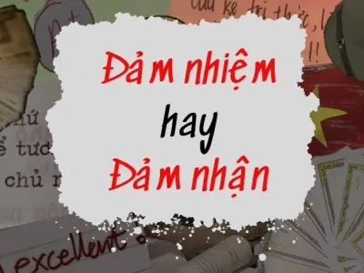 Gây tranh cãi giữa đảm nhận hay đảm nhiệm đúng chính tả