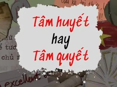 Tâm huyết hay tâm quyết đúng chính tả dễ gây nhầm lẫn