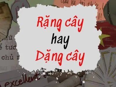 Rặng cây hay dặng cây đúng chính tả và cách dùng đúng