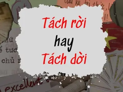 Tách rời hay tách dời đúng chính tả mới chuẩn ngữ pháp