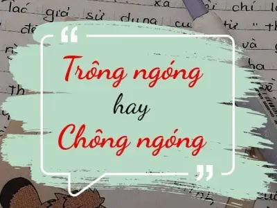 Trông ngóng hay chông ngóng đúng chính tả gây tranh cãi