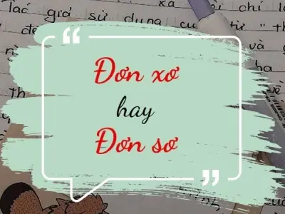 Giải mã đơn sơ hay đơn xơ đúng chính tả tiếng Việt
