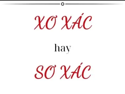 Xơ xác hay sơ xác đúng chính tả? Tìm hiểu để không nhầm lẫn!