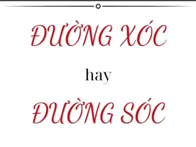 Đường sóc hay đường xóc đúng chính tả gây hoang mang