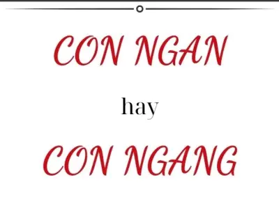 Con ngang hay con ngan đúng chính tả trong tiếng Việt