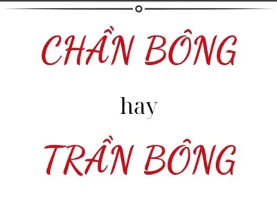 Trần bông hay chần bông đúng chính tả trong tiếng Việt