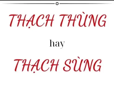 Thạch thùng hay thạch sùng đúng chính tả gây hoang mang