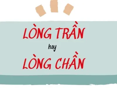 Lòng chần hay lòng trần đúng chính tả gây tranh cãi dữ dội