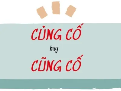 Củng cố hay cũng cố đúng chính tả để viết văn chuẩn Việt