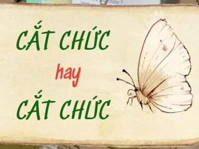 Cắt chức hay cách chức đúng chính tả theo chuẩn văn phạm