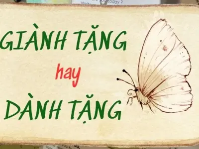 Giải mã nhầm lẫn giành tặng hay dành tặng đúng chính tả