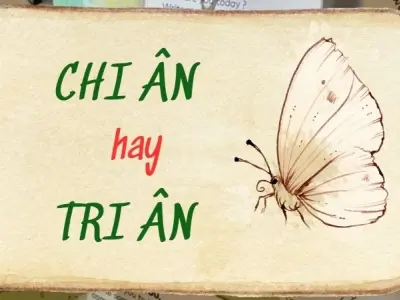 Chi ân hay tri ân đúng chính tả khiến nhiều người bối rối
