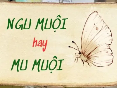Ngu muội hay Mu muội đúng chính tả – Lý do gây nhầm lẫn
