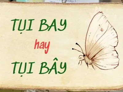 Tụi bay hay tụi bây đúng chính tả? Giải mã từ tiếng Việt