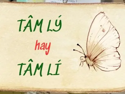 Tâm lý hay tâm lí đúng chính tả? Sự thật được phơi bày